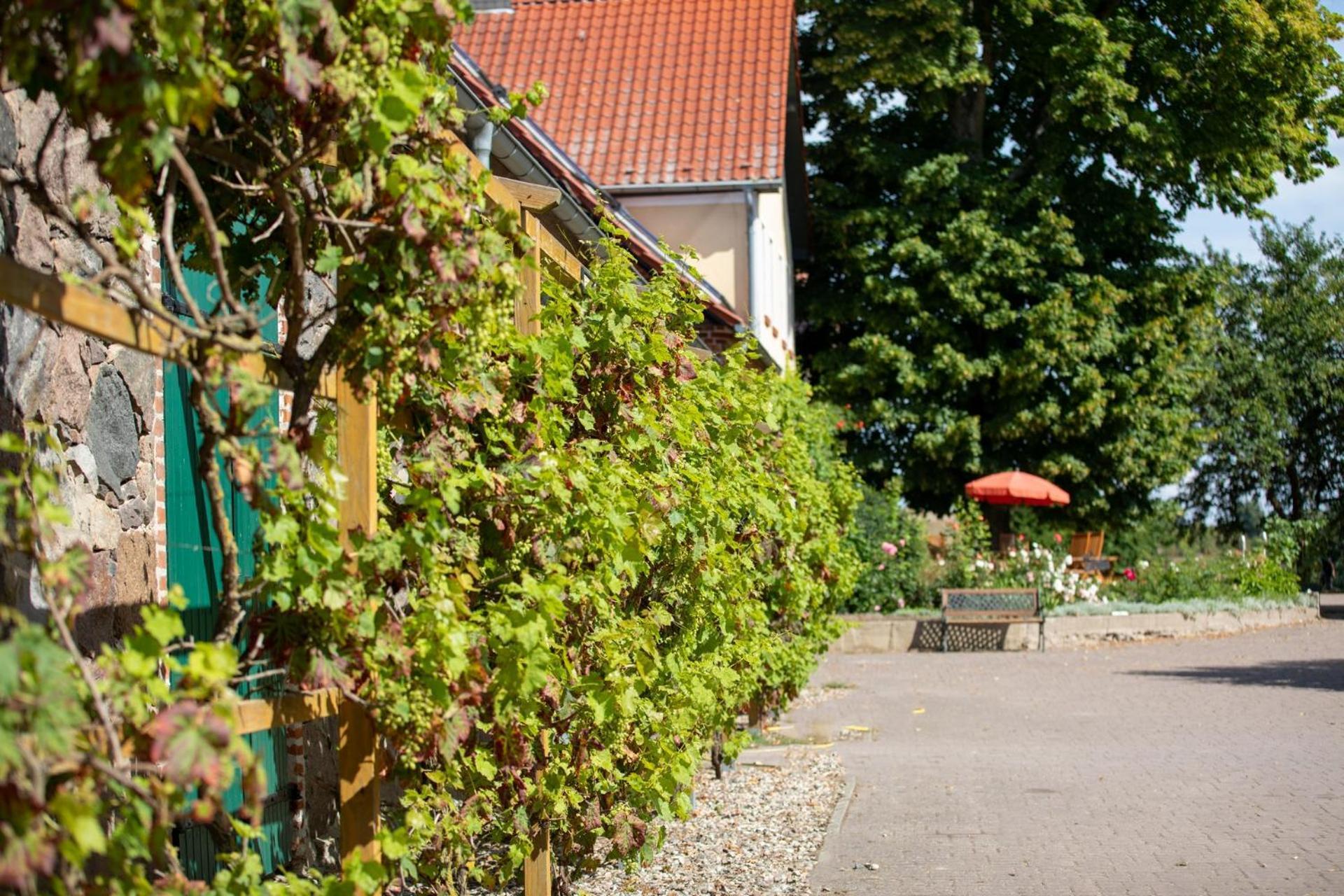 Landurlaub Auf Dem Mellenhof Appartement Funkenhagen Buitenkant foto